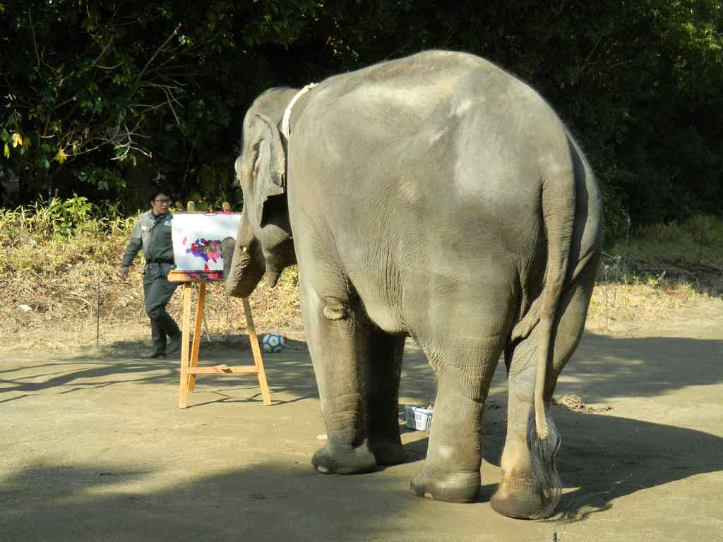 絵画展 ゾウが描いたぞう はじまりました 兵庫県立人と自然の博物館 ひとはく ひとはくblog旧