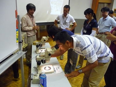顕微鏡で微化石の観察