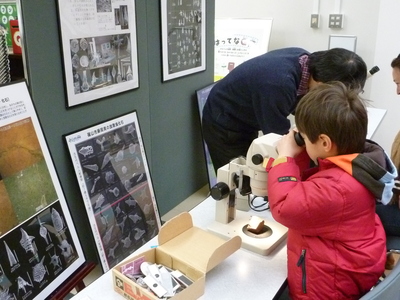 顕微鏡で見る化石
