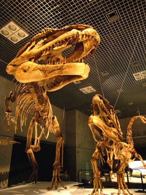 マプサウルス