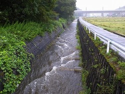 ikejiri_flood.jpg