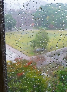 窓の外は雨　雨が降ってる