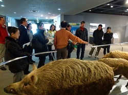 ひとはくblog旧: 生物多様性大作戦！アーカイブ