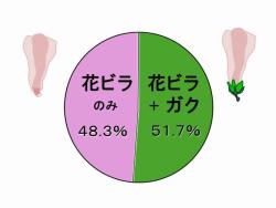 s-mukuge no shioreta hana no wariai 385 ke 240911.jpg